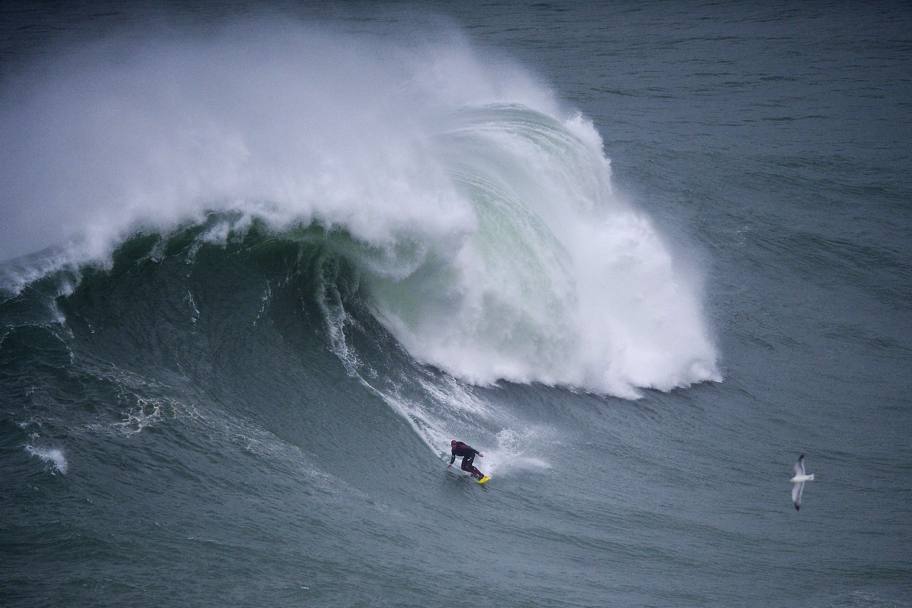 Il gigante e la formica: un impavido surfista affronta una mega onda a Praia do Norte, in Portogallo (Afp)